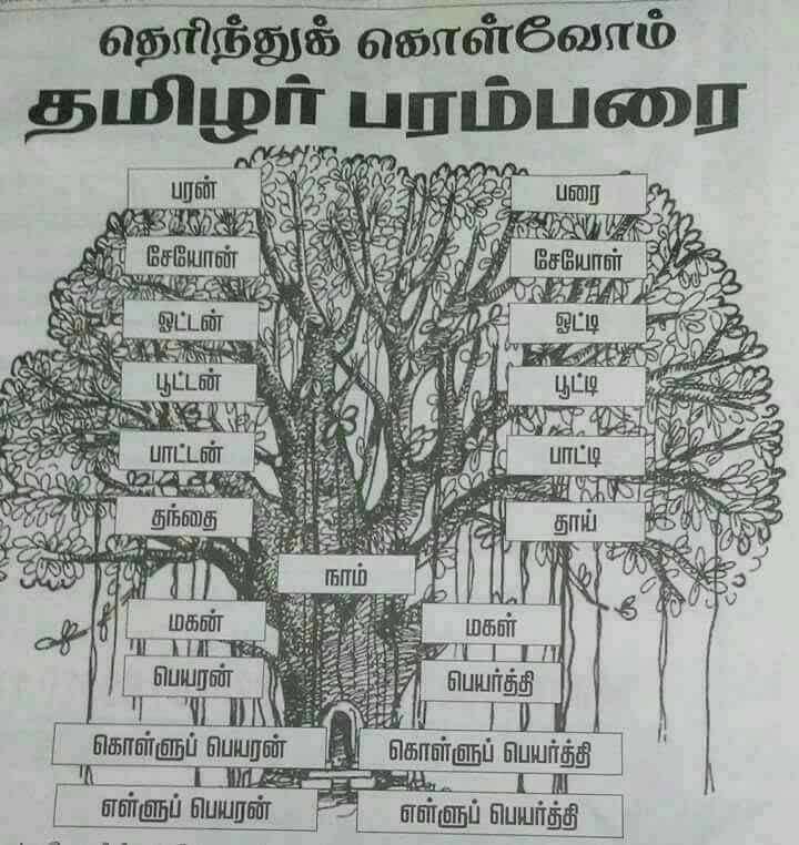 உங்கள் பரம்பரையை பற்றி உங்களுக்கு தெரியுமா?